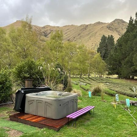 Danseys Pass Lavender Farm Villa Tokarahi Eksteriør billede