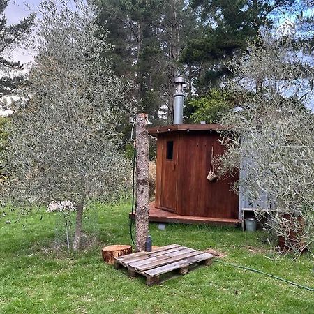 Danseys Pass Lavender Farm Villa Tokarahi Eksteriør billede